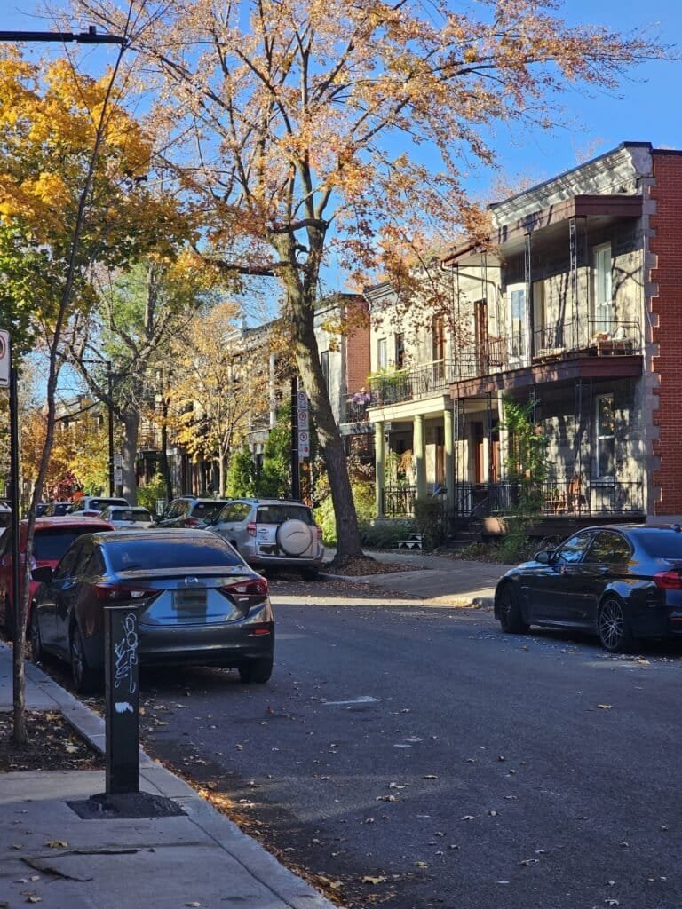 plateau du Mont-Royal