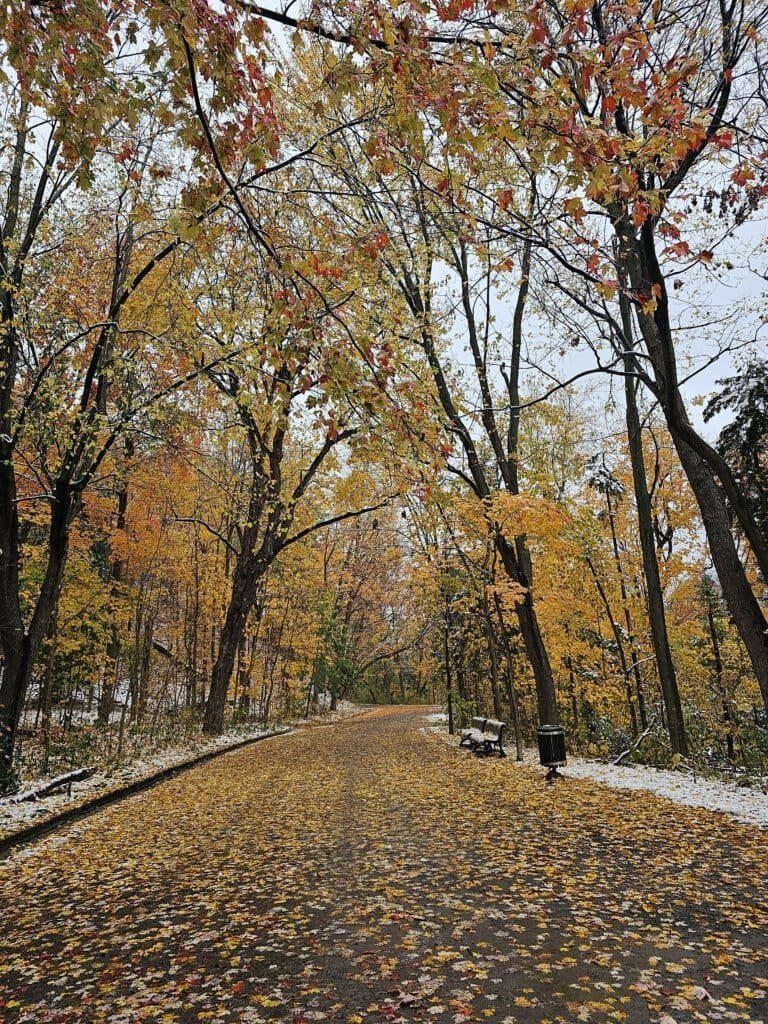 road trip au canada