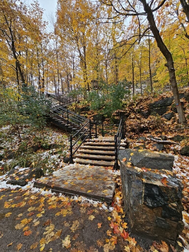 parc du Mont-Royal