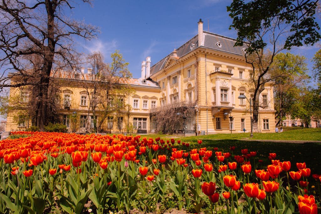Royal Palace in Sofia