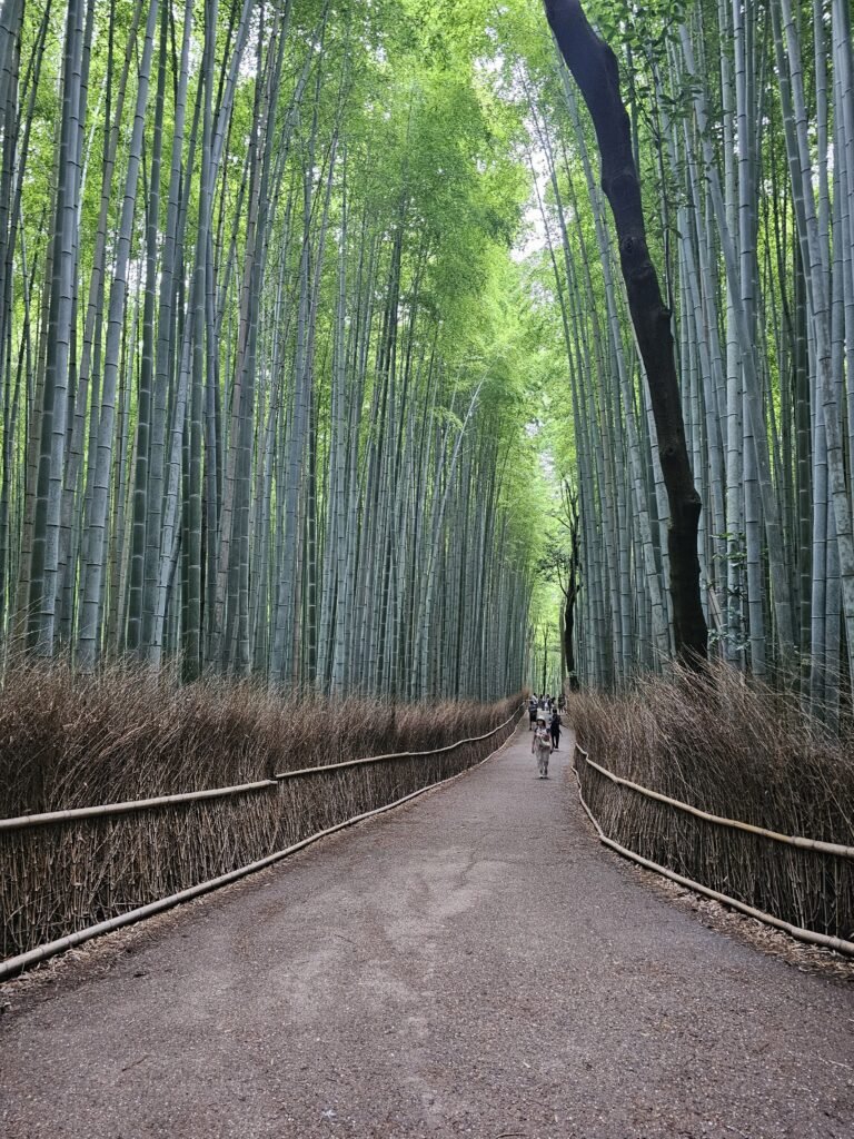 que visiter au japon