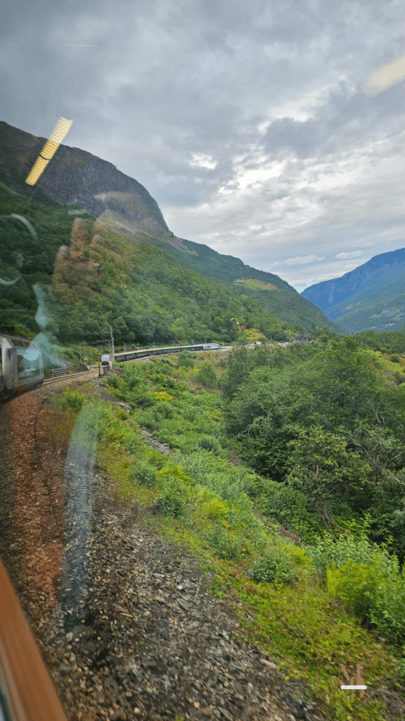 que faire à Flam, flamsbana norvege