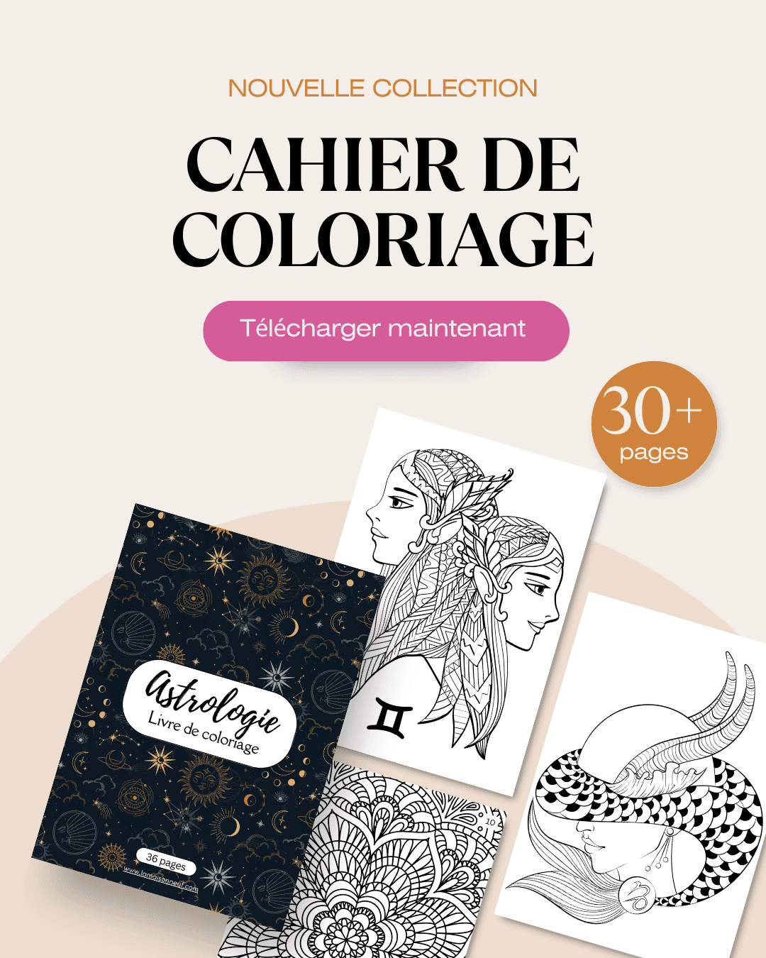 cahier de coloriage pour adultes