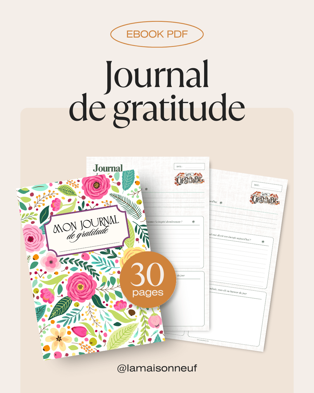  Journal de gratitude