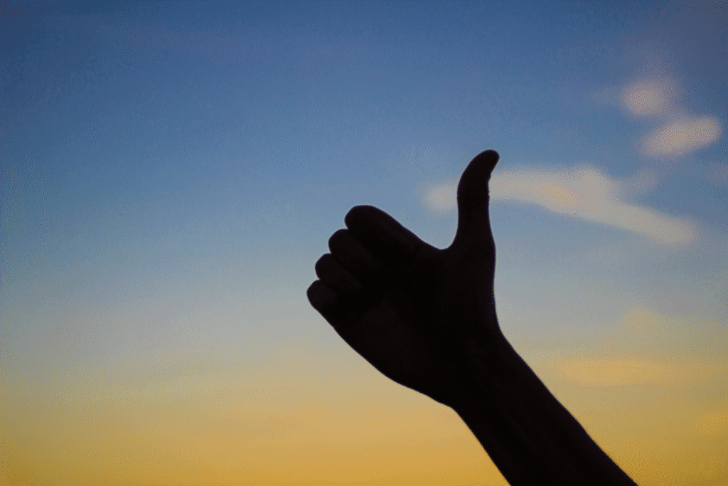 journal de gratitude